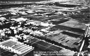 ALGER - MAISON-CARREE - Ecole Nationale d'Agriculture (3)